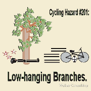 cycling hazard low hanging branches bike still going