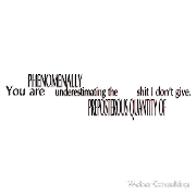 You are phenomenally underestimating the preposterous quantity of shit I don't give.